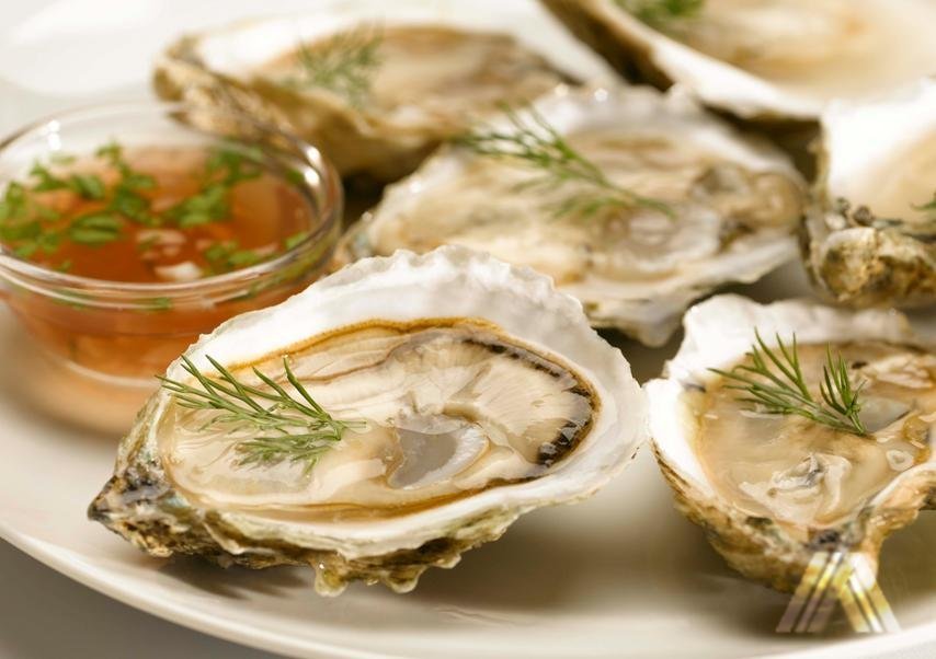 oysters