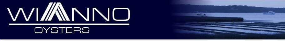 oyster banner
